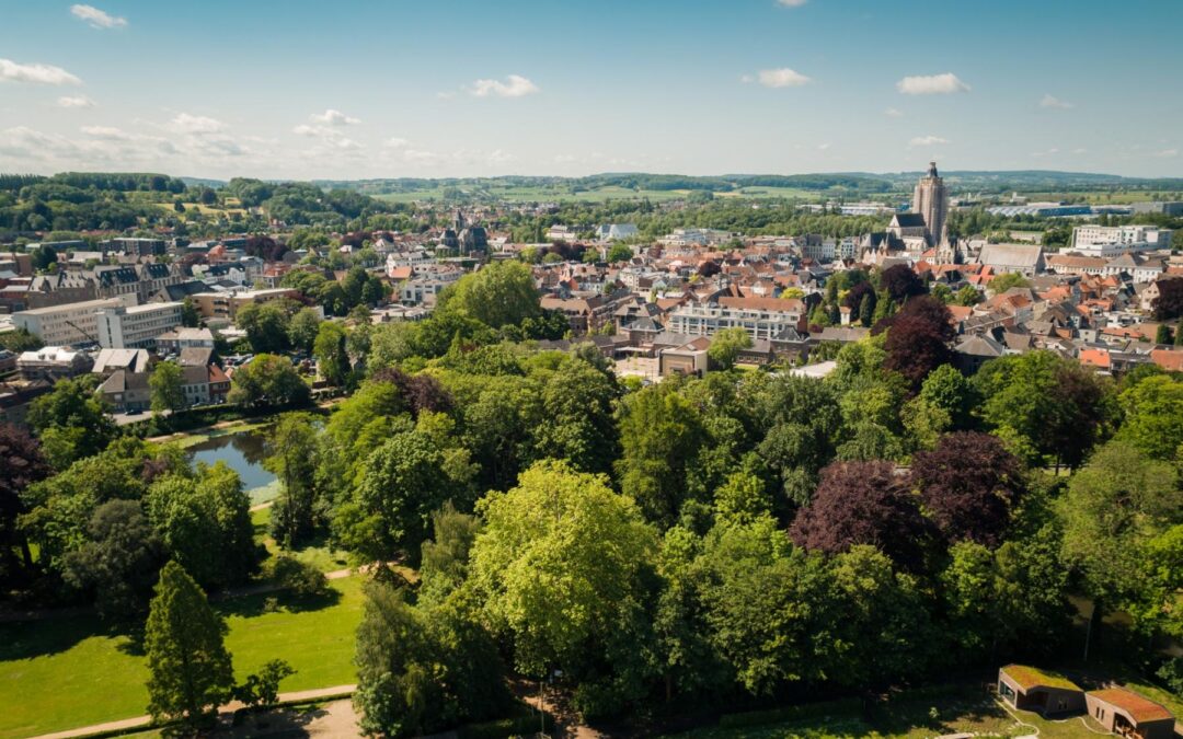 WAAROM IEDEREEN WINT BIJ MEER GROEN IN DE STAD