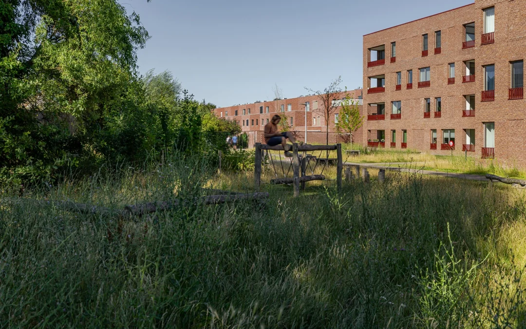 Het urban forest of groene park met speelelementen van Saffrou in Oudenaarde, met op de achtergrond appartementen en huizen van de eerste fase.