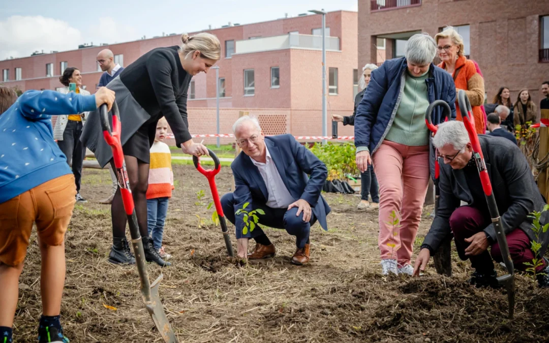 Bewoners, werknemers en de burgemeester van Oudenaarde leggen samen het urban forest aan.